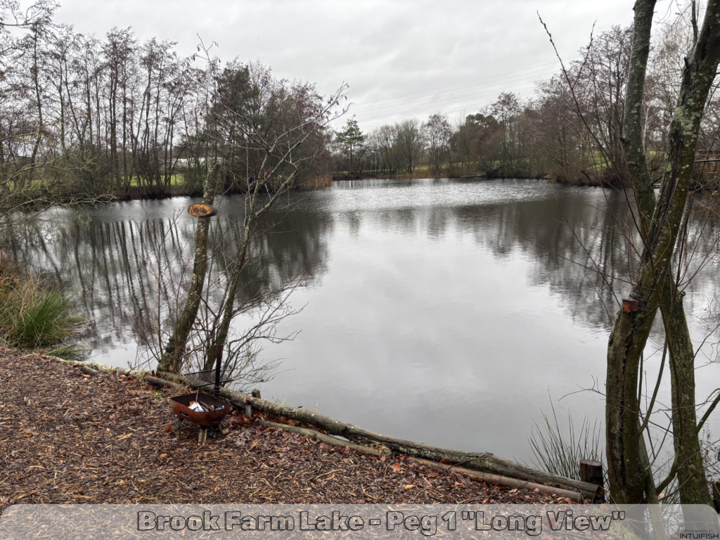 fishing at brook farm lake