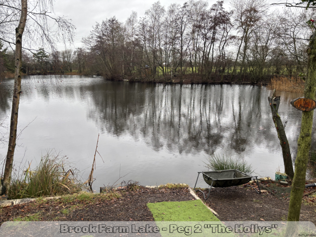 fishing at brook farm lake