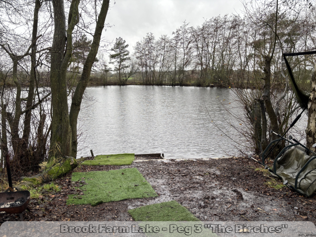 fishing at brook farm lake