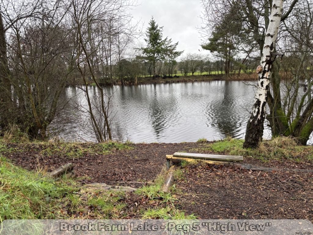 fishing at brook farm lake