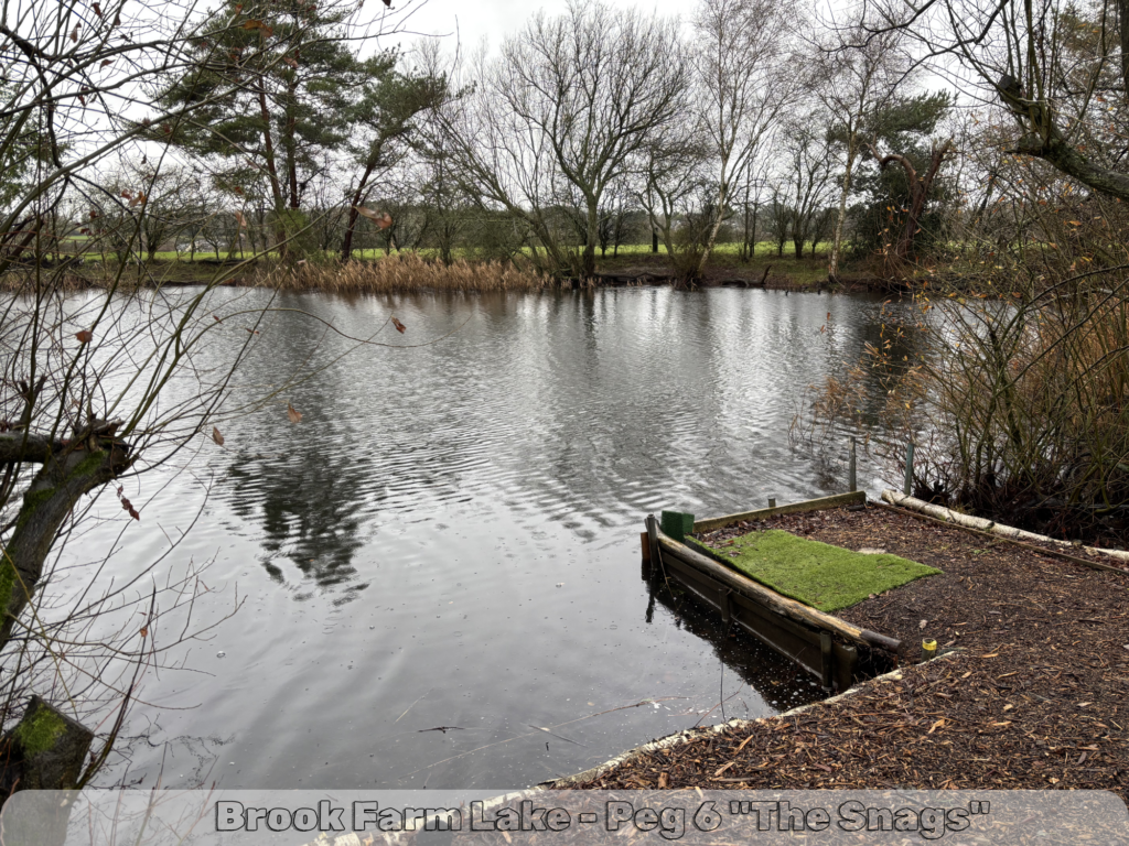 fishing at brook farm lake